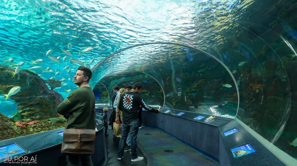 Ripleys Aquarium em Toronto